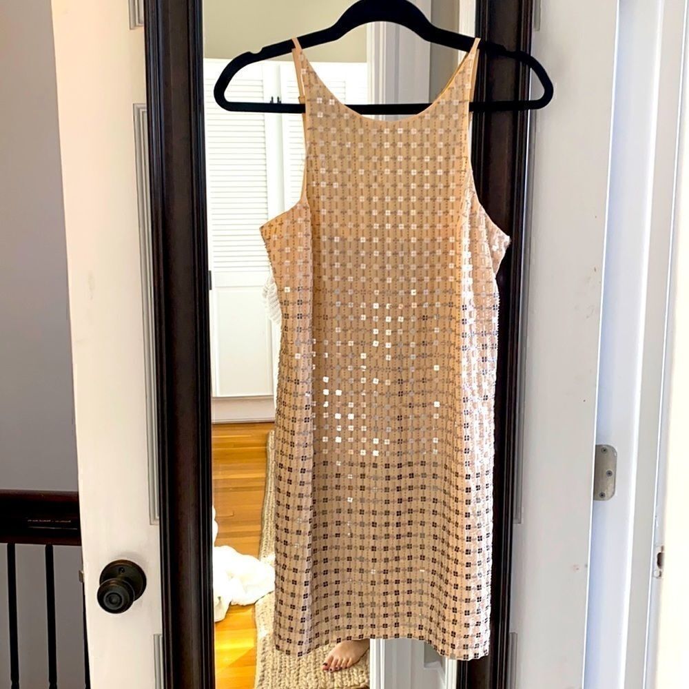 Parker sequins nude dress 